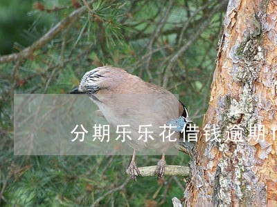 分期乐乐花借钱逾期10天 分期乐乐花借钱逾期10天