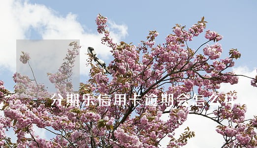 分期乐信用卡逾期会怎么样
