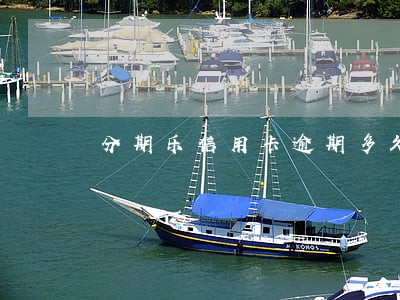 分期乐信用卡逾期多久会上门 分期乐信用卡逾期多久会上门