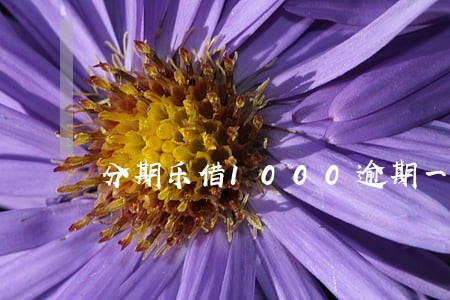 分期乐借1000逾期一个月