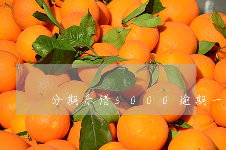 分期乐借5000逾期一天多少 分期乐借5000逾期一天多少