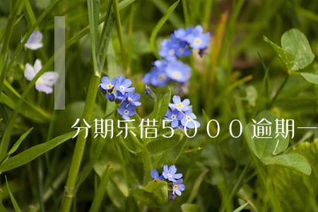 分期乐借5000逾期一年没还 分期乐借5000逾期一年没还