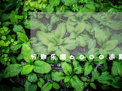 分期乐借6000逾期一年 分期乐借6000逾期一年