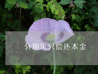 分期乐只偿还本金