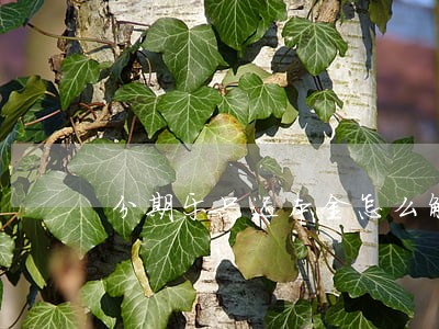 分期乐只还本金怎么解决 分期乐只还本金怎么解决