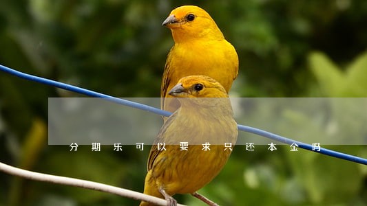 分期乐可以要求只还本金吗 分期乐可以要求只还本金吗