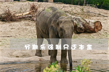分期乐强制只还本金 分期乐强制只还本金