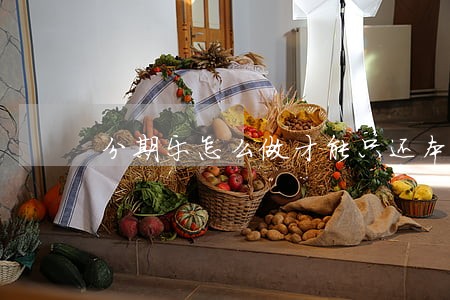 分期乐怎么做才能只还本金 分期乐怎么做才能只还本金