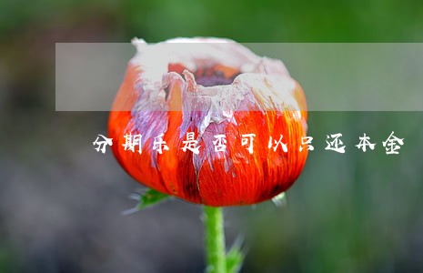 分期乐是否可以只还本金