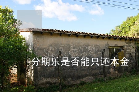 分期乐是否能只还本金 分期乐是否能只还本金