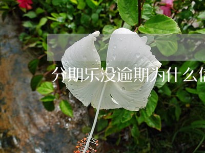 分期乐没逾期为什么信用评分不足 分期乐没逾期为什么信用评分不足