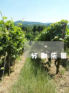 分期乐第三次逾期13天 分期乐第三次逾期13天