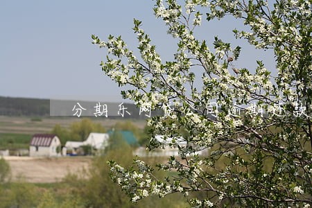分期乐网贷公司逾期还款 分期乐网贷公司逾期还款