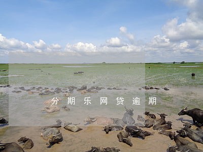分期乐网贷逾期 分期乐网贷逾期