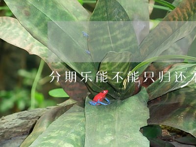 分期乐能不能只归还本金 分期乐能不能只归还本金