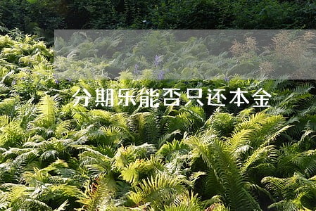 分期乐能否只还本金 分期乐能否只还本金