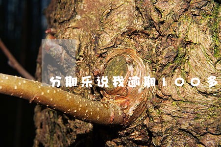 分期乐说我逾期100多天了 分期乐说我逾期100多天了