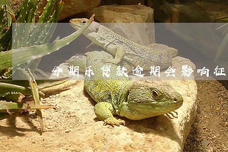 分期乐贷款逾期会影响征信么 分期乐贷款逾期会影响征信么