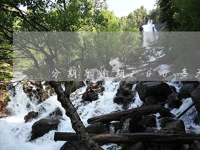 分期乐逾期100多天征信会咋样 分期乐逾期100多天征信会咋样