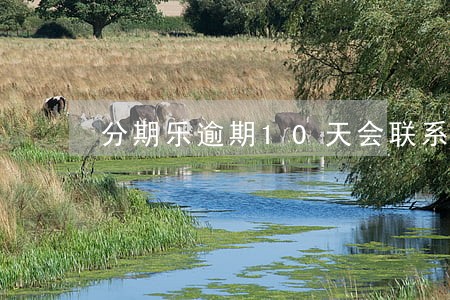 分期乐逾期10天会联系到家里吗 分期乐逾期10天会联系到家里吗