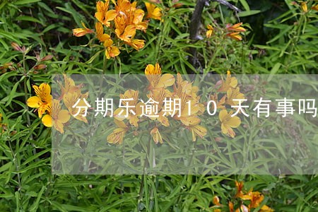 分期乐逾期10天有事吗 分期乐逾期10天有事吗