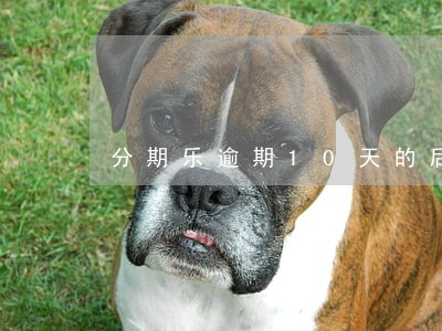 分期乐逾期10天的后果 分期乐逾期10天的后果