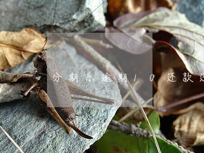 分期乐逾期10还款还可以用吗 分期乐逾期10还款还可以用吗