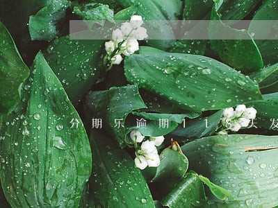 分期乐逾期118天发律师函