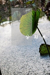 分期乐逾期12天让还全款 分期乐逾期12天让还全款