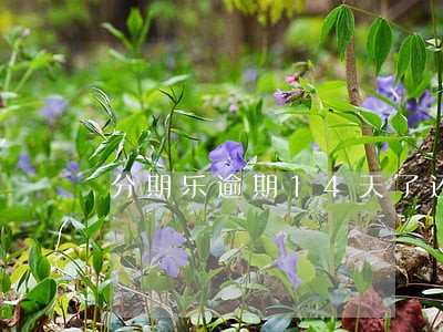分期乐逾期14天了还会上征信吗 分期乐逾期14天了还会上征信吗
