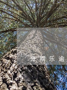 分期乐逾期14天后果 分期乐逾期14天后果