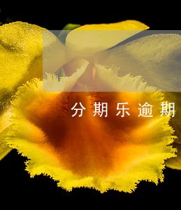 分期乐逾期14天金额460 分期乐逾期14天金额460