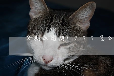 分期乐逾期1700怎么办