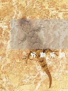 分期乐逾期17天都有接电话 分期乐逾期17天都有接电话