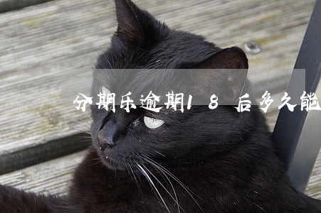 分期乐逾期18后多久能再次用