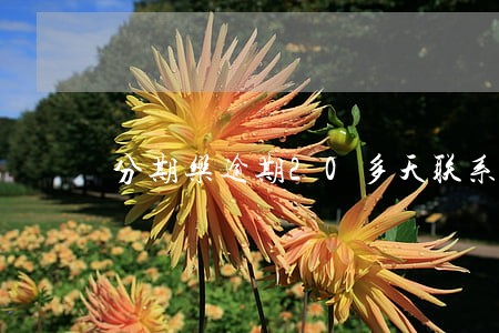 分期乐逾期20多天联系不上我 分期乐逾期20多天联系不上我