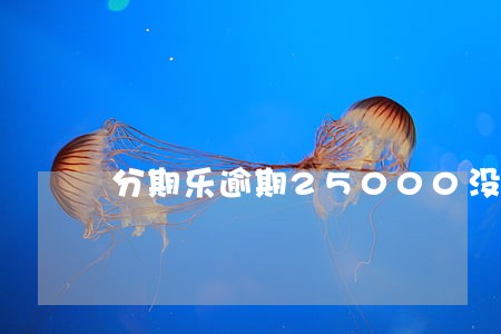 分期乐逾期25000没还怎么办
