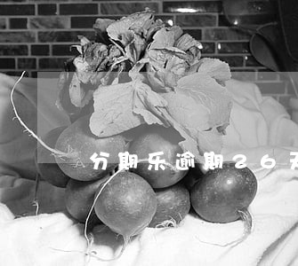 分期乐逾期26天还能借款吗 分期乐逾期26天还能借款吗
