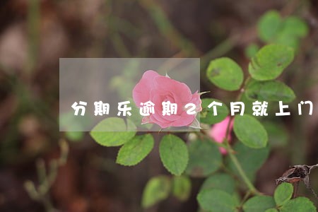 分期乐逾期2个月就上门 分期乐逾期2个月就上门