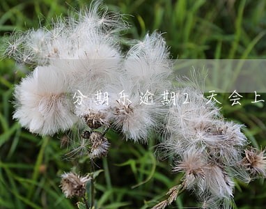 分期乐逾期2天会上征信吗 分期乐逾期2天会上征信吗