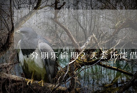 分期乐逾期2天会还能借吗 分期乐逾期2天会还能借吗