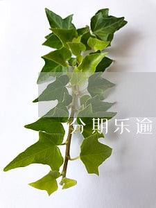 分期乐逾期2天后果 分期乐逾期2天后果