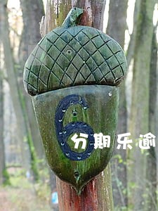 分期乐逾期2年了可以还本金吗 分期乐逾期2年了可以还本金吗