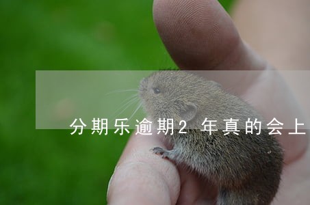 分期乐逾期2年真的会上门 分期乐逾期2年真的会上门