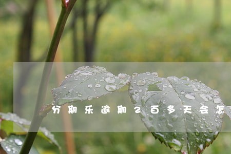 分期乐逾期2百多天会怎样 分期乐逾期2百多天会怎样