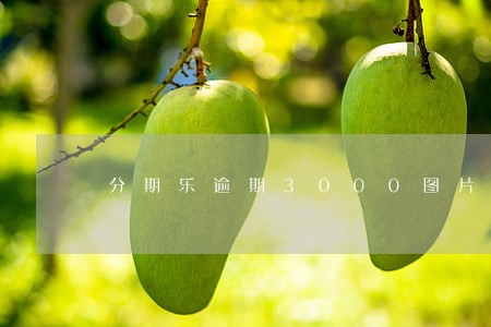 分期乐逾期3000图片