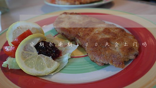 分期乐逾期300天会上门吗 分期乐逾期300天会上门吗