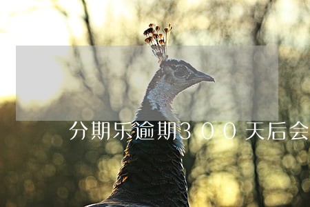 分期乐逾期300天后会怎么样 分期乐逾期300天后会怎么样