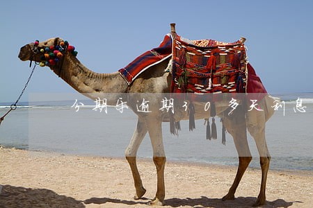 分期乐逾期30多天利息怎么算 分期乐逾期30多天利息怎么算