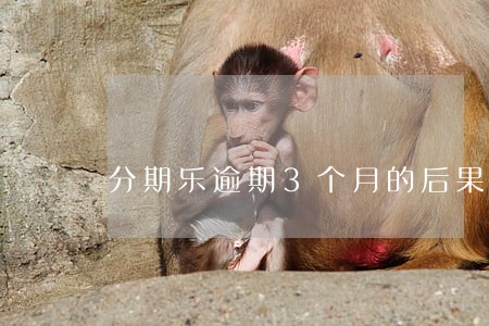 分期乐逾期3个月的后果 分期乐逾期3个月的后果